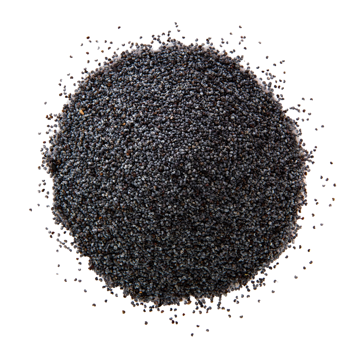 Nigella Seed